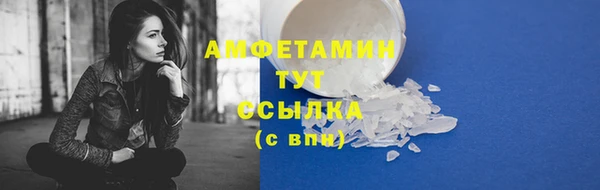 шишки Армянск