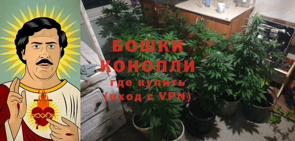 шишки Армянск