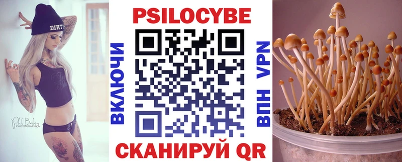 Галлюциногенные грибы Psilocybine cubensis Кунгур